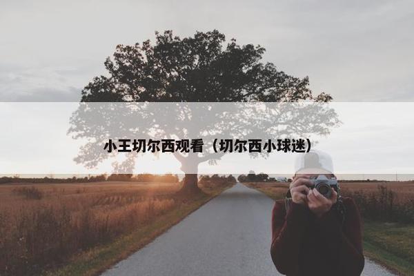小王切尔西观看（切尔西小球迷）