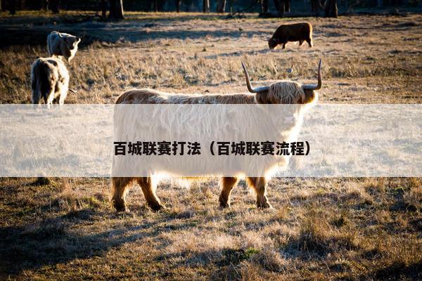百城联赛打法（百城联赛流程）