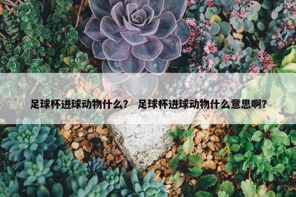 足球杯进球动物什么？ 足球杯进球动物什么意思啊？