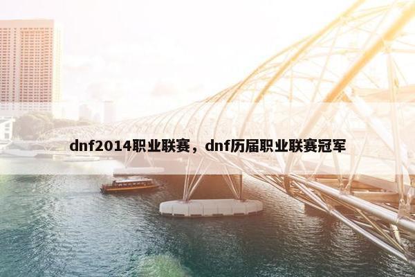 dnf2014职业联赛,dnf历届职业联赛冠军 dnf2014职业联赛,dnf历届职业联赛冠军