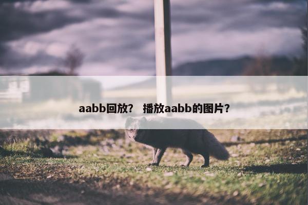 aabb回放？ 播放aabb的图片？
