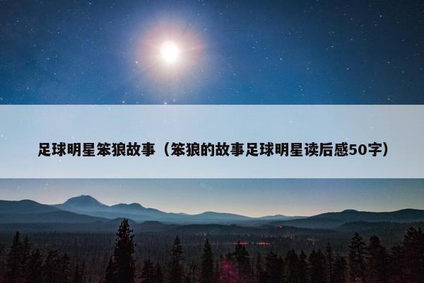 足球明星笨狼故事（笨狼的故事足球明星读后感50字）