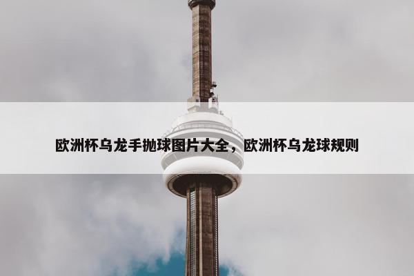 欧洲杯乌龙手抛球图片大全，欧洲杯乌龙球规则