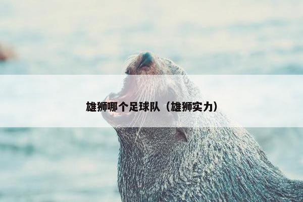 雄狮哪个足球队(雄狮实力) 雄狮哪个足球队(雄狮实力)