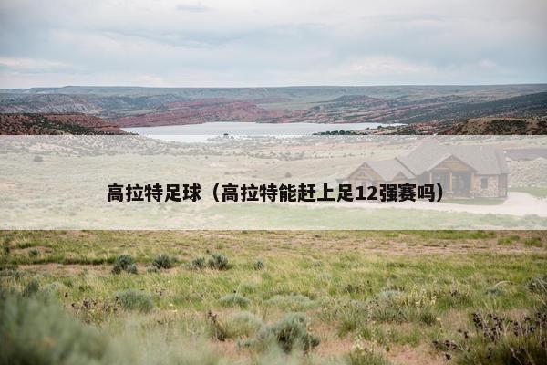 高拉特足球（高拉特能赶上足12强赛吗）