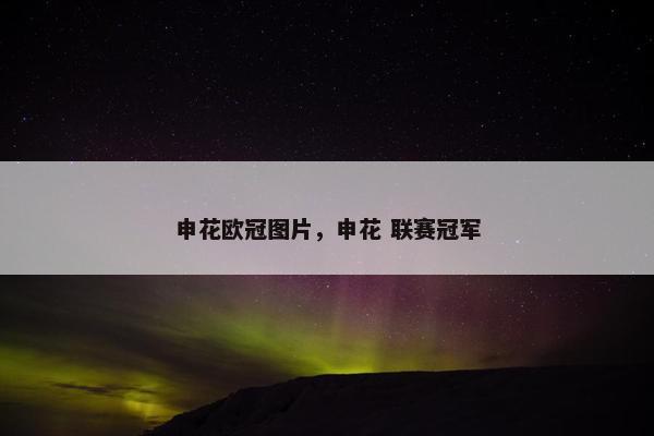 申花欧冠图片，申花 联赛冠军