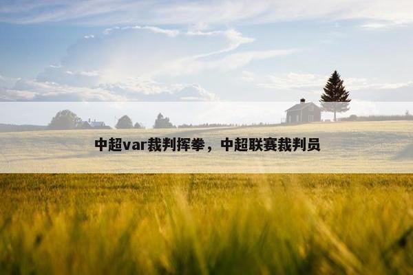 中超var裁判挥拳，中超联赛裁判员