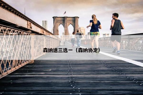 森纳送三选一（森纳协定）