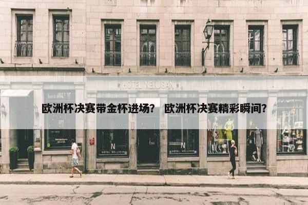 欧洲杯决赛带金杯进场？ 欧洲杯决赛精彩瞬间？
