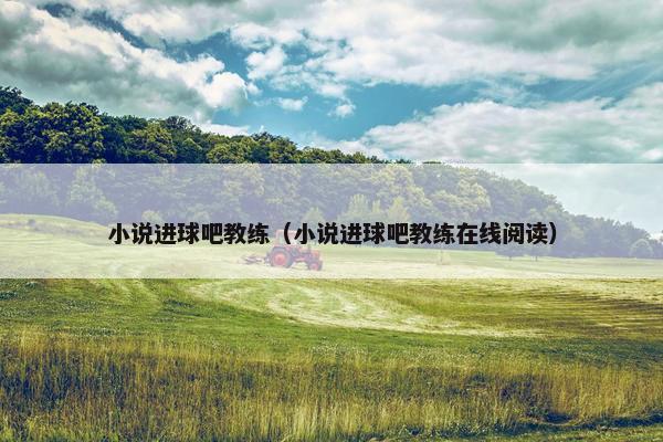 小说进球吧教练（小说进球吧教练在线阅读）