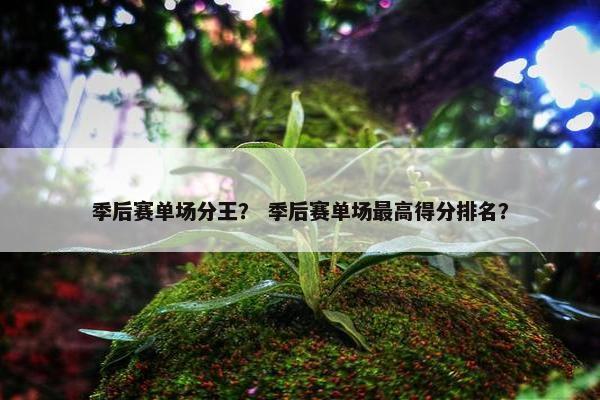 季后赛单场分王？ 季后赛单场最高得分排名？