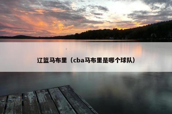 辽篮马布里（cba马布里是哪个球队）