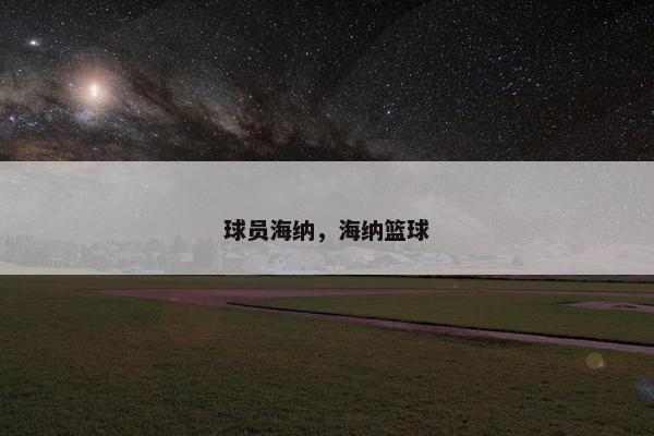 球员海纳，海纳篮球