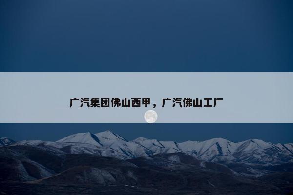 广汽集团佛山西甲，广汽佛山工厂