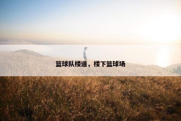 篮球队楼道，楼下篮球场