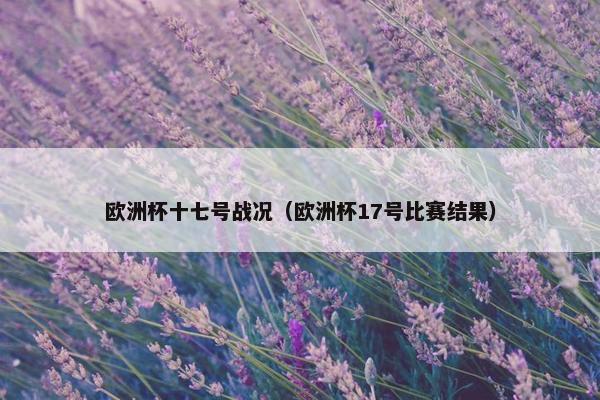 欧洲杯十七号战况（欧洲杯17号比赛结果）