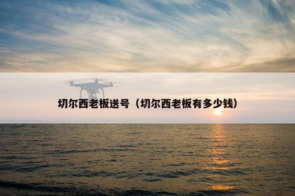 切尔西老板送号（切尔西老板有多少钱）