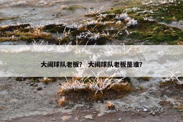 大闹球队老板? 大闹球队老板是谁? 大闹球队老板? 大闹球队老板是谁?