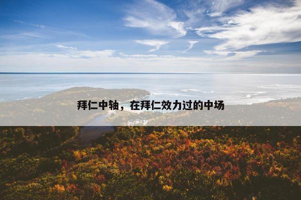 拜仁中轴，在拜仁效力过的中场