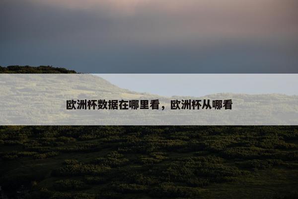 欧洲杯数据在哪里看，欧洲杯从哪看