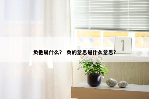 负他属什么？ 负的意思是什么意思？