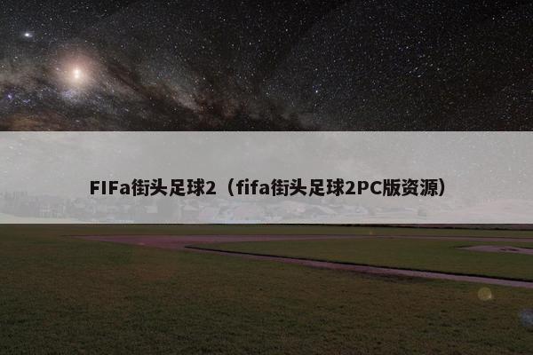 FIFa街头足球2（fifa街头足球2PC版资源）