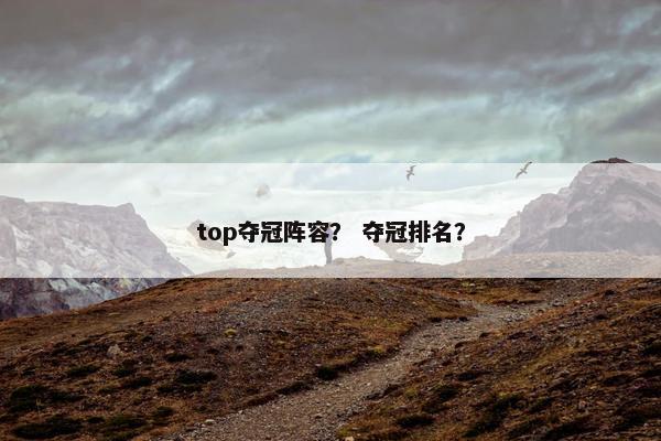 top夺冠阵容? 夺冠排名? top夺冠阵容? 夺冠排名?