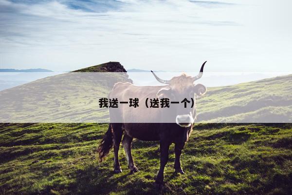 我送一球(送我一个) 我送一球(送我一个)