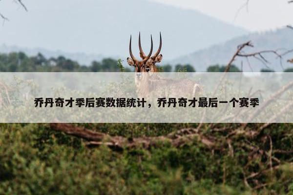 乔丹奇才季后赛数据统计，乔丹奇才最后一个赛季