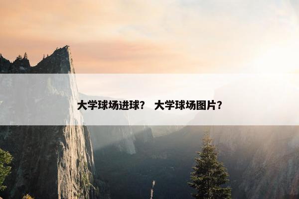 大学球场进球？ 大学球场图片？