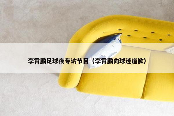 李霄鹏足球夜专访节目（李霄鹏向球迷道歉）