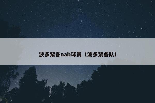 波多黎各nab球员（波多黎各队）