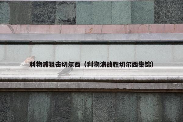 利物浦狙击切尔西(利物浦战胜切尔西集锦) 利物浦狙击切尔西(利物浦战胜切尔西集锦)