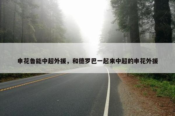 申花鲁能中超外援，和德罗巴一起来中超的申花外援