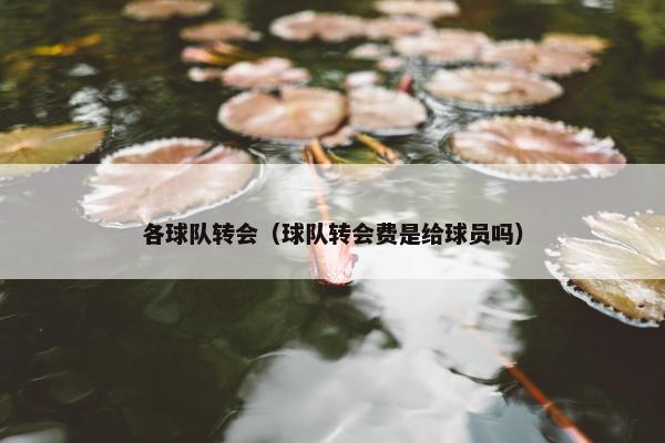 各球队转会（球队转会费是给球员吗）