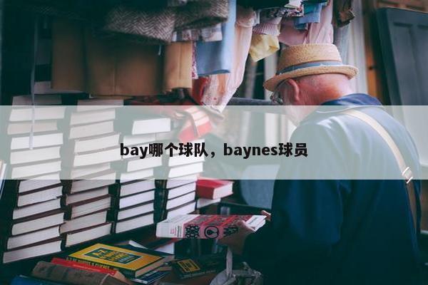 bay哪个球队，baynes球员