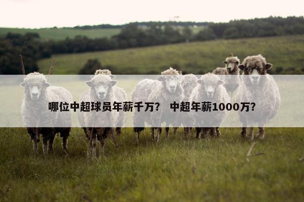 哪位中超球员年薪千万？ 中超年薪1000万？