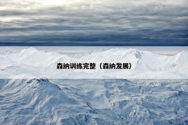 森纳训练完整（森纳发展）