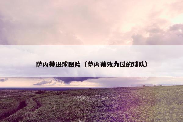 萨内蒂进球图片（萨内蒂效力过的球队）