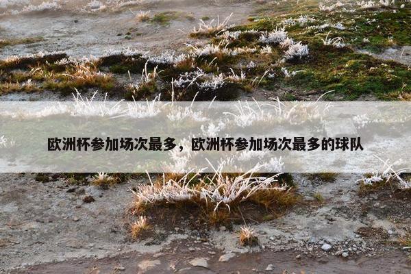 欧洲杯参加场次最多，欧洲杯参加场次最多的球队