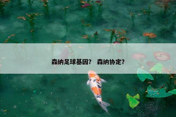 森纳足球基因? 森纳协定? 森纳足球基因? 森纳协定?