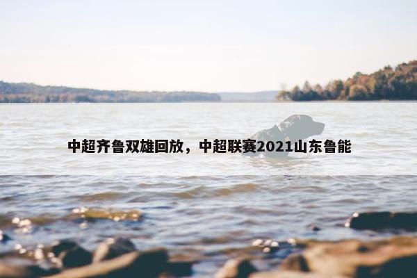 中超齐鲁双雄回放，中超联赛2021山东鲁能