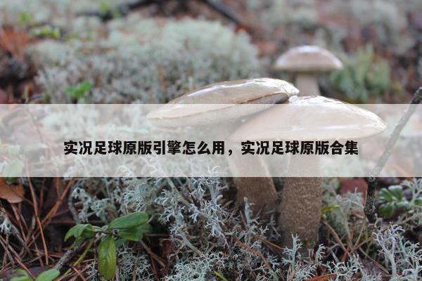 实况足球原版引擎怎么用,实况足球原版合集 实况足球原版引擎怎么用,实况足球原版合集