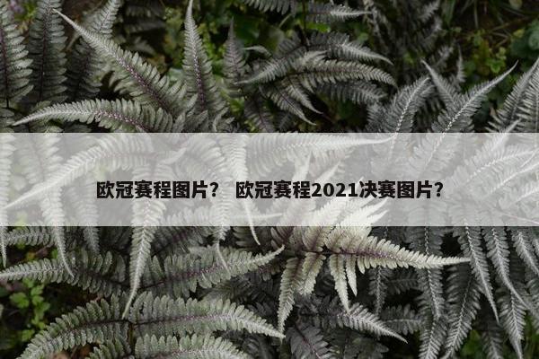 欧冠赛程图片? 欧冠赛程2021决赛图片? 欧冠赛程图片? 欧冠赛程2021决赛图片?