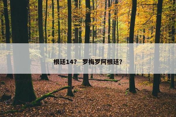 根廷14？ 罗梅罗阿根廷？