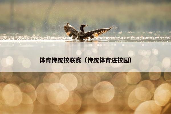 体育传统校联赛(传统体育进校园) 体育传统校联赛(传统体育进校园)