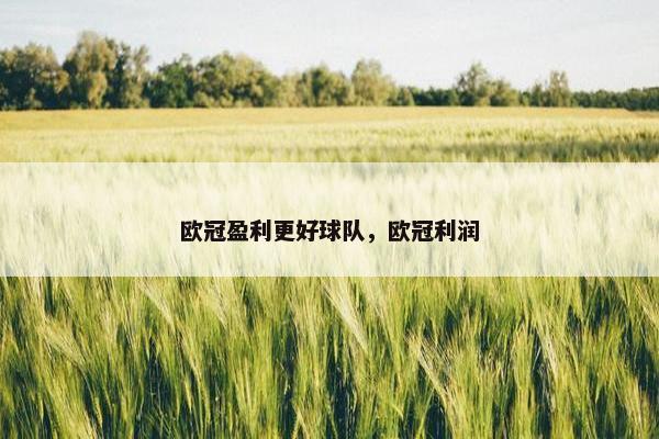 欧冠盈利更好球队,欧冠利润 欧冠盈利更好球队,欧冠利润