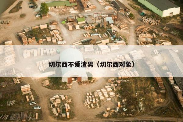 切尔西不爱渣男(切尔西对象) 切尔西不爱渣男(切尔西对象)