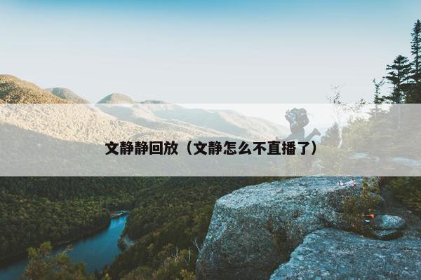 文静静回放（文静怎么不直播了）