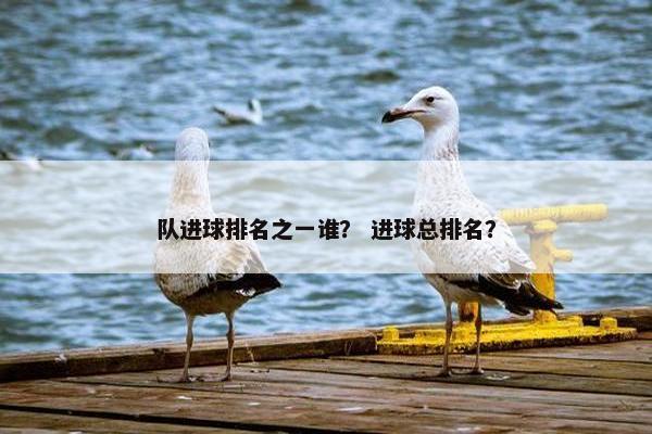 队进球排名之一谁？ 进球总排名？